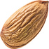 Moroccan bitter almond